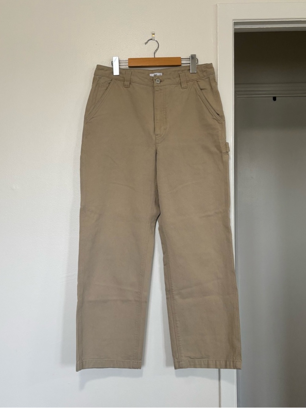 TNA Carpenter Pants